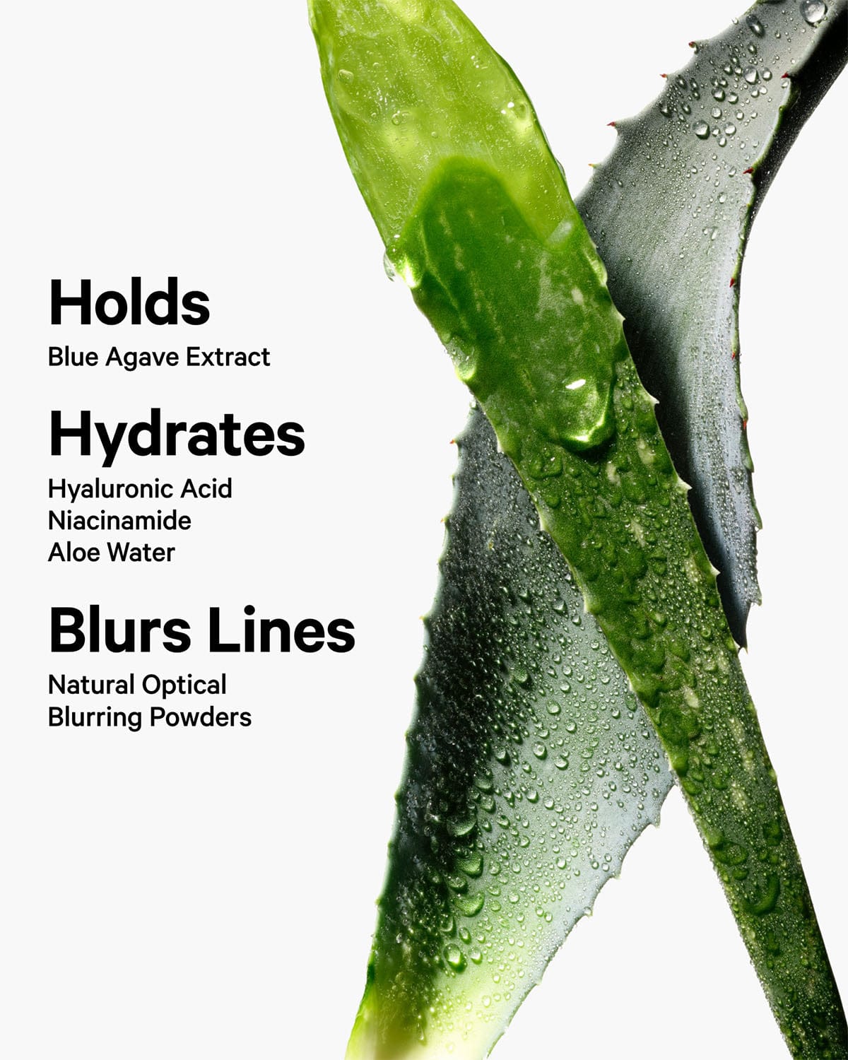 Hydro Grip Eye Primer image 6