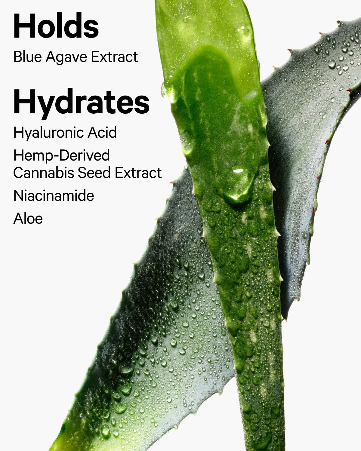 Hydro Grip Hydrating Setting Spray image 7